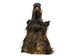 Mounted Wild Boar Head: Large: Gallery Item - 20-70-G4517 (Y2N)