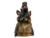 Mounted Wild Boar Head: Large: Gallery Item - 20-70-G4519 (Y2NXX)