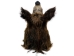Mounted Wild Boar Head: Large: Gallery Item - 20-70-G4519 (Y2NXX)