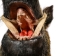 Mounted Wild Boar Head: Large: Gallery Item - 20-70-G4519 (Y2NXX)