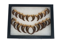 Real Black Bear Claws: Set of 20: Gallery Item  