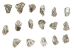 Tumbled African Abalone Shell Pieces: 4 oz: Gallery Item - 220-TPS-G4040 (Y3M)