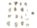 Tumbled African Abalone Shell Pieces: 1.1 oz: Gallery Item - 220-TPS-G4062 (Y3M)