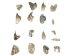 Tumbled African Abalone Shell Pieces: 1.1 oz: Gallery Item - 220-TPS-G4062 (Y3M)