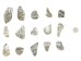 Tumbled African Abalone Shell Pieces: 2.7 oz: Gallery Item - 220-TPS-G4078 (Y3M)