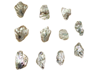 Tumbled African Abalone Shell Pieces: 4.1 oz: Gallery Item 