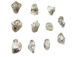 Tumbled African Abalone Shell Pieces: 4.1 oz: Gallery Item 