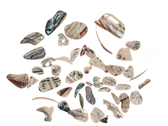 Tumbled African Abalone Shell Pieces: 3.5 oz: Gallery Item 