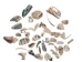 Tumbled African Abalone Shell Pieces: 3.5 oz: Gallery Item - 220-TPS-G6588 (Y3L)