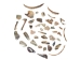 Tumbled African Abalone Shell Pieces: 3.5 oz: Gallery Item - 220-TPS-G6653 (Y3L)