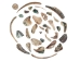 Tumbled African Abalone Shell Pieces: 3.5 oz: Gallery Item - 220-TPS-G6654 (Y3L)