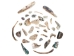 Tumbled African Abalone Shell Pieces: 3.5 oz: Gallery Item - 220-TPS-G6654 (Y3L)
