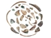 Tumbled African Abalone Shell Pieces: 3.5 oz: Gallery Item - 220-TPS-G6654 (Y3L)