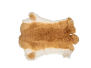 Czech #1/#2 Breeder Rabbit Skin: Fawn: Gallery Item  Fawn rabbit skins, Czech Fawn rabbit fur, Czech rabbit pelt, natural color, rabbit, Fawn