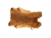 Czech #1/#2 Breeder Rabbit Skin: Fawn: Gallery Item - 283-1-CZNFA-G4852 (Y2FXX)