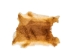 Czech #1/#2 Breeder Rabbit Skin: Fawn: Gallery Item - 283-1-CZNFA-G4854 (Y2FXX)