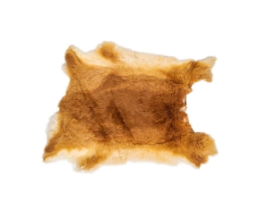 Czech #1/#2 Breeder Rabbit Skin: Fawn: Gallery Item  Fawn rabbit skins, Czech Fawn rabbit fur, Czech rabbit pelt, natural color, rabbit, Fawn