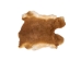 Czech #1/#2 Breeder Rabbit Skin: Fawn: Gallery Item - 283-1-CZNFA-G4855 (Y2FXX)