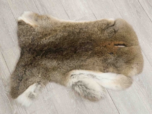 Jumbo Natural Czech #3 Female Rabbit Skin: Gallery Item 