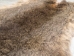 Jumbo Natural Czech #3 Female Rabbit Skin: Gallery Item - 283-3-CZN-G4828 (Y2HRJ)