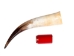 Polished Steer Horn: 22": Gallery Item - 304-20-24-G6408 (Y3JR-A4)
