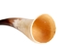 Polished Steer Horn: 22": Gallery Item - 304-20-24-G6408 (Y3JR-A4)