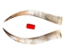 Pair of Polished Steer Horns: 30": Gallery Item - 304-P2830-G6419 (Y3HRM)