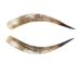 Pair of Polished Steer Horns: 30": Gallery Item - 304-P2830-G6419 (Y3HRM)