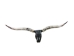Pair of Polished Steer Horns: 34.5": Gallery Item - 304-P3436-G7532 (Y3HRE)