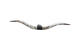 Pair of Polished Steer Horns: 34.5": Gallery Item - 304-P3436-G7532 (Y3HRE)