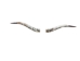 Pair of Polished Steer Horns: 34.5": Gallery Item - 304-P3436-G7532 (Y3HRE)