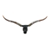 Pair of Polished Steer Horns: 37": Gallery Item - 304-P3436-G7533 (Y3HRE)