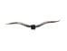 Pair of Polished Steer Horns: 37": Gallery Item - 304-P3436-G7533 (Y3HRE)