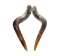 Pair of Polished Steer Horns: 37": Gallery Item - 304-P3436-G7533 (Y3HRE)