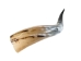 Polished Steer Horn: 24": Gallery Item - 304-S2426-G6670 (Y3HRJ)