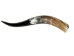 Polished Steer Horn: 24": Gallery Item - 304-S2426-G6670 (Y3HRJ)