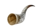 Polished Steer Horn: 34": Gallery Item - 304-S3234-G7518 (Y3HRH)