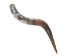 Polished Steer Horn: 34": Gallery Item - 304-S3234-G7518 (Y3HRH)