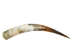 Polished Steer Horn: 32.5": Gallery Item - 304-S3234-G7519 (Y3HRH)