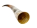 Polished Steer Horn: 32.5": Gallery Item - 304-S3234-G7519 (Y3HRH)