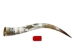 Polished Steer Horn: 34": Gallery Item - 304-S3436-G7529 (Y3HRE)
