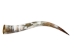 Polished Steer Horn: 34": Gallery Item - 304-S3436-G7529 (Y3HRE)