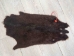 Dyed Nutria Skin: Gallery Item - 31-G4653 (Y1KWR)
