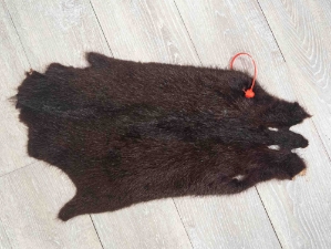 Dyed Nutria Skin: Gallery Item 