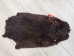 Dyed Nutria Skin: Gallery Item - 31-G4654 (Y1KWR)
