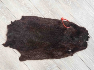 Dyed Nutria Skin: Gallery Item 
