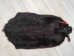 Dyed Nutria Skin: Gallery Item - 31-G4655 (Y1KWR)