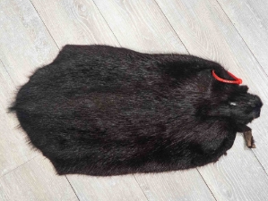 Dyed Nutria Skin: Gallery Item 