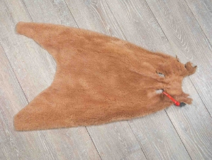 Dyed Sheared Nutria Skin: Gallery Item 