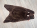 Dyed Sheared Nutria Skin: Gallery Item - 31-G4657 (Y1KWR)